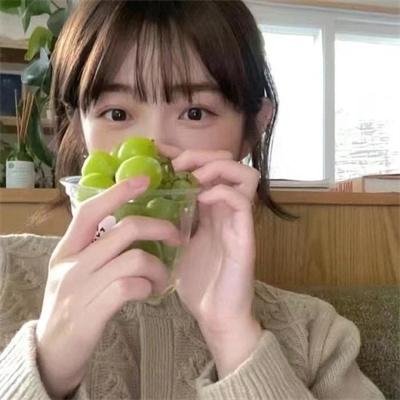 哈莉·奎茵第五季